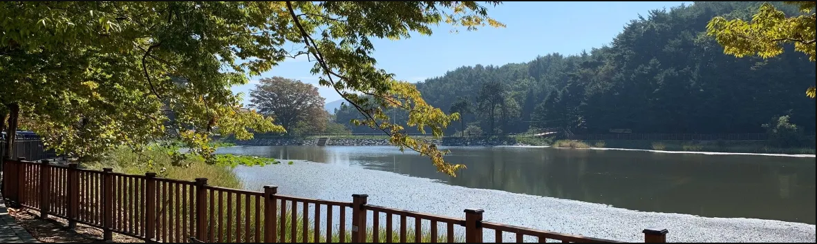 清州