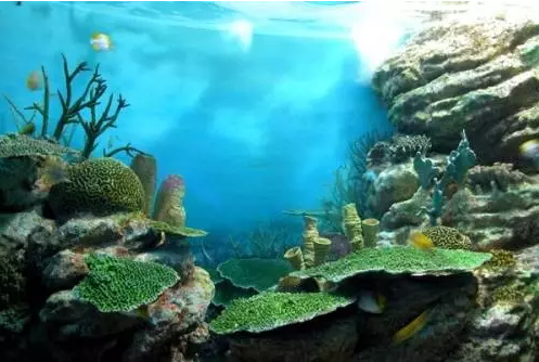 釜山水族館