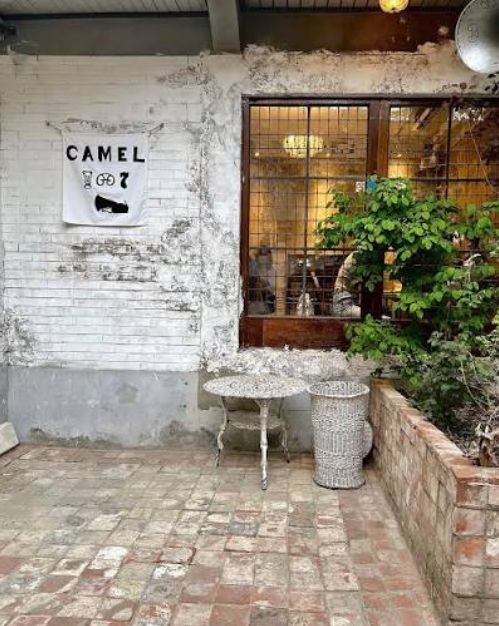 Camel Cafe 7號店
