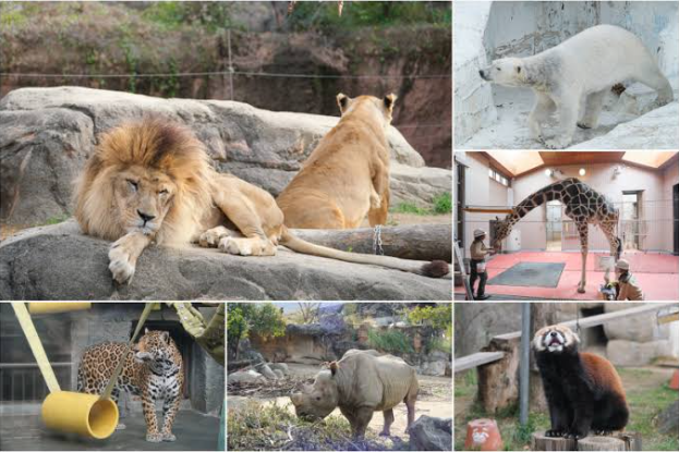 大阪動物園