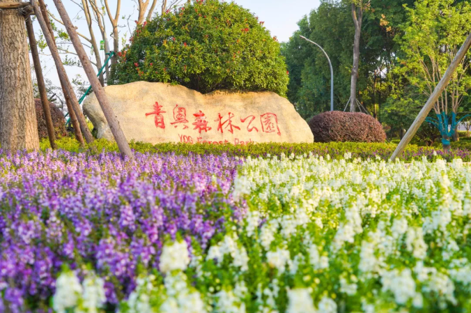青奧森林公園